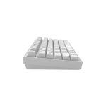 Keyboard/ Dark Project ALU Terra Nova White - Wireless Gaming Keyboard (ANSI) - Image 8
