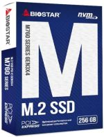 PC Components/ SSD/ Biostar M760-256GB M.2 2280 NVMe Gen3x4